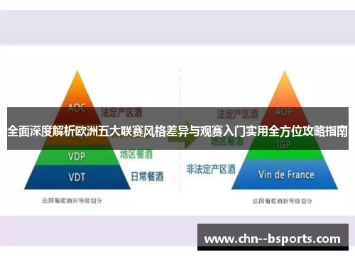 全面深度解析欧洲五大联赛风格差异与观赛入门实用全方位攻略指南 全面深度解析欧洲五大联赛风格差异与观赛入门实用全方位攻略指南