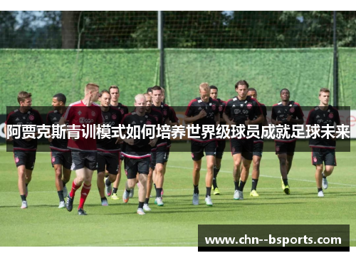 阿贾克斯青训模式如何培养世界级球员成就足球未来